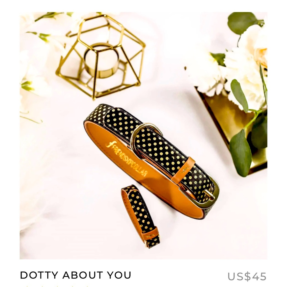 Matching dog collar and human bracelet-NEVER USED